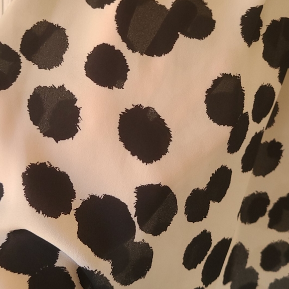 Polka Dot Blouse - Picture 2 of 5